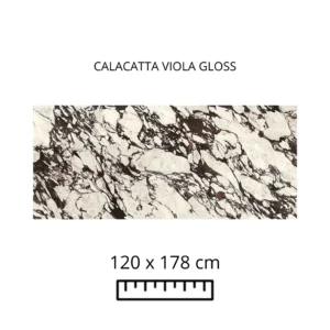 viola 3 1024x1024@2x